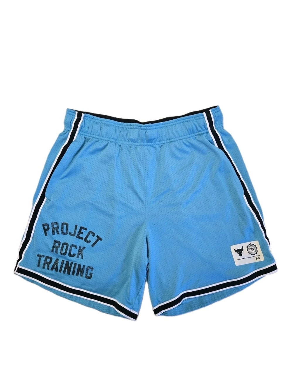 Under Armour Project Rock Men's Penny Mesh Shorts Large Blue 1377443